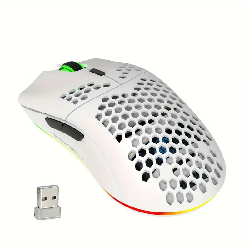 Wireless Gaming Mouse with RGB Lighting